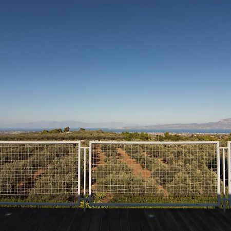 Country Villa Peloponnese With Tennis Court And Pool Zevgolateíon Eksteriør bilde