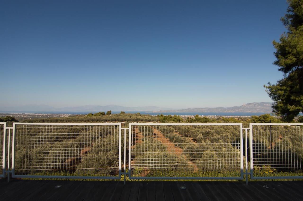 Country Villa Peloponnese With Tennis Court And Pool Zevgolateíon Eksteriør bilde